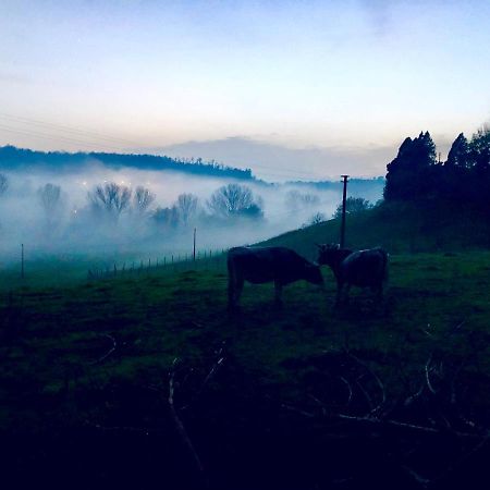 Vila Fattoria Lucciano Borghetto  Exteriér fotografie