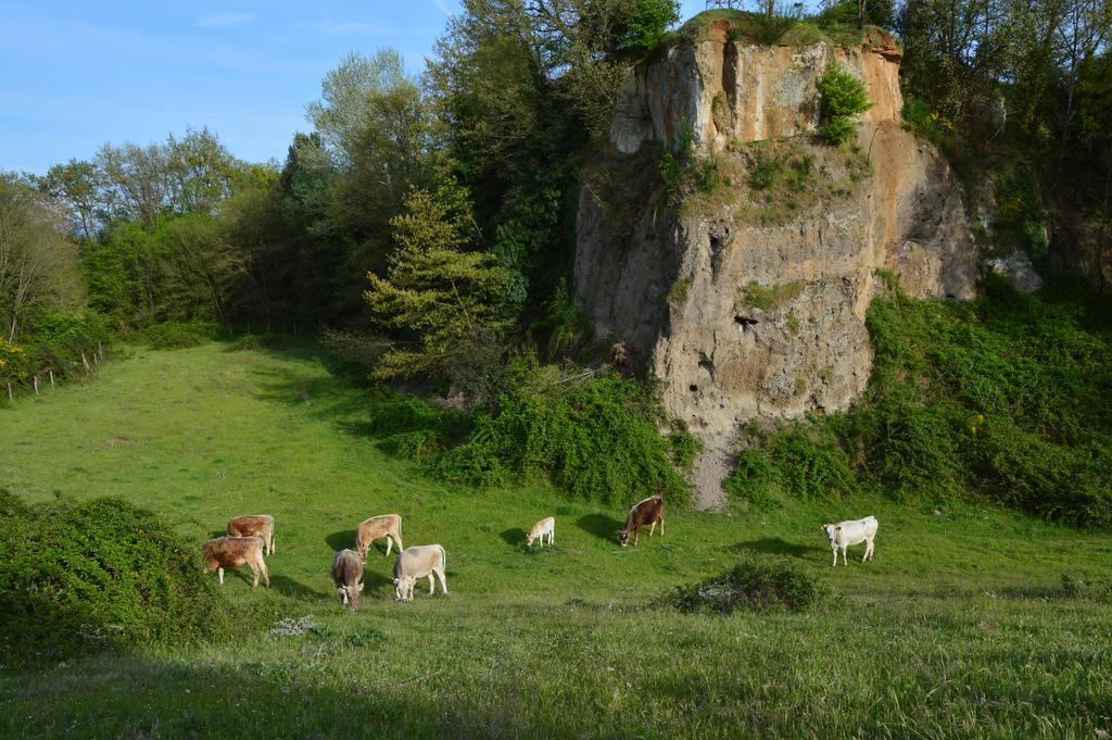Vila Fattoria Lucciano Borghetto  Exteriér fotografie