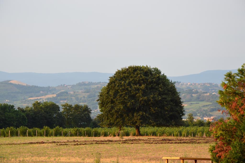 Vila Fattoria Lucciano Borghetto  Pokoj fotografie