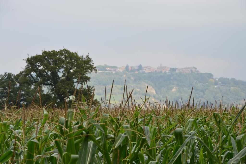 Vila Fattoria Lucciano Borghetto  Exteriér fotografie