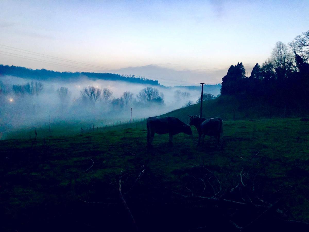 Vila Fattoria Lucciano Borghetto  Exteriér fotografie