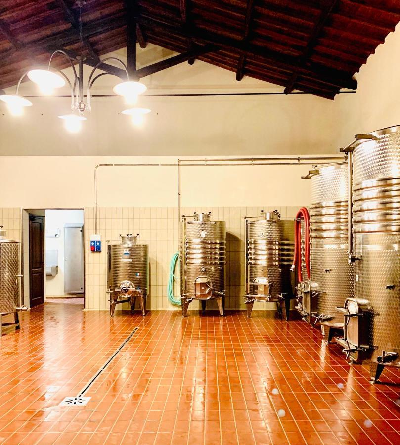 Vila Fattoria Lucciano Borghetto  Exteriér fotografie